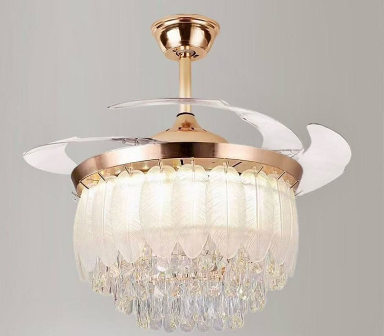Ceiling Fans